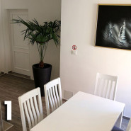 Apartment A1 (2+2)